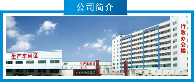 椰星公司简介